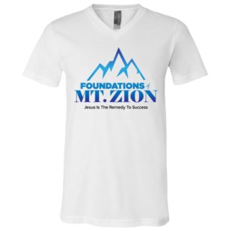 3005 Unisex Jersey SS V-Neck T-Shirt