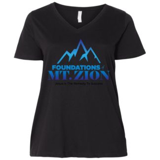 3807  Ladies' Curvy V-Neck T-Shirt